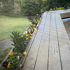 Beautiful-plant-installation-in-Greenville-SC 3