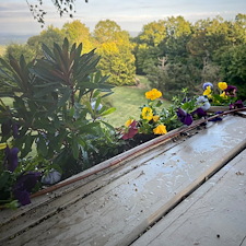 Beautiful-plant-installation-in-Greenville-SC 2