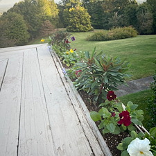 Beautiful-plant-installation-in-Greenville-SC 0