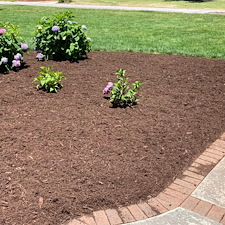Excellent-Mulching-Project-in-Greenville-SC 1