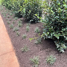 Landscaping-in-Greenville-SC 0