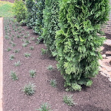 Landscaping-in-Greenville-SC 2
