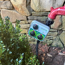 Plant-Installation-Project-in-Greenville-SC 1
