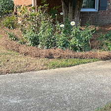 Prestine-Pine-Needle-Installation-in-Taylors-SC 0