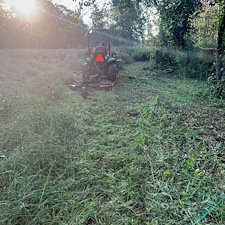 Quick-Response-Bush-Hogging-job-in-Greenville-SC 2
